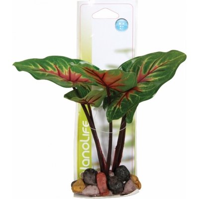 Zolux DECO NATURE N°1