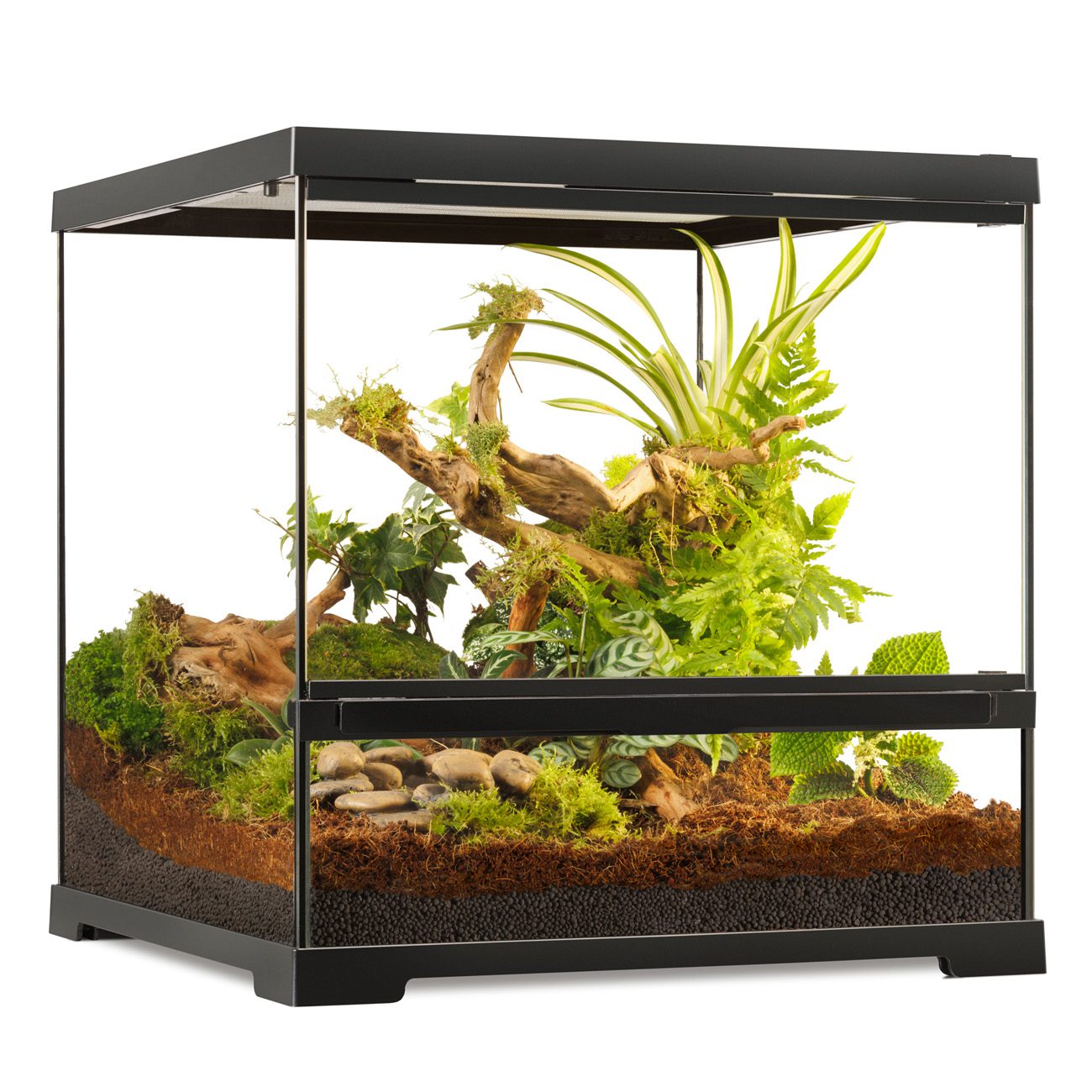 Exo Terra - Pro Terrarium™ - SMALL / WIDE