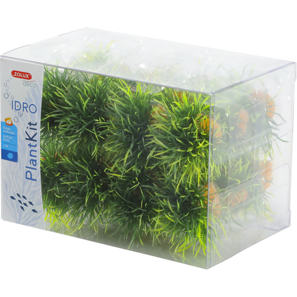 Zolux PLANTKIT IDRO SMALL PLANT X24