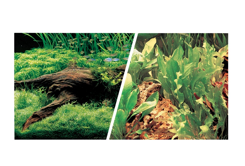 Hagen MA Dbl.Sdd.Bgr.JapAqscp/Fshwtr,18inx25ft