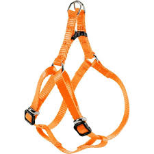 Zolux HARNAIS NYLON BAUD. 15MM ORA