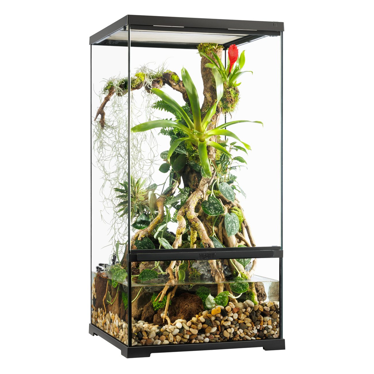 Exo Terra - Pro Paludarium™ - SMALL / X-TALL