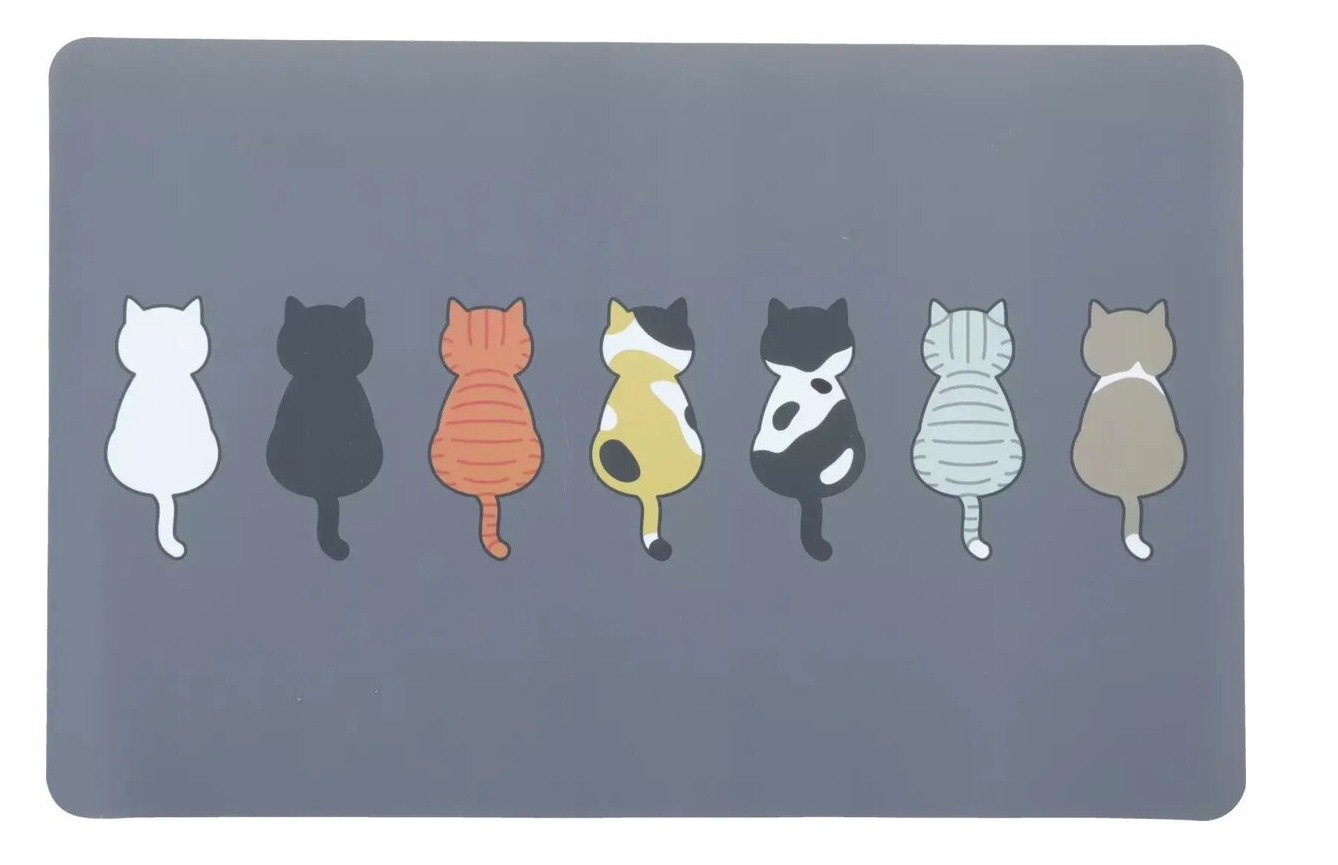 BOWL SET CAT FROM BEHIND