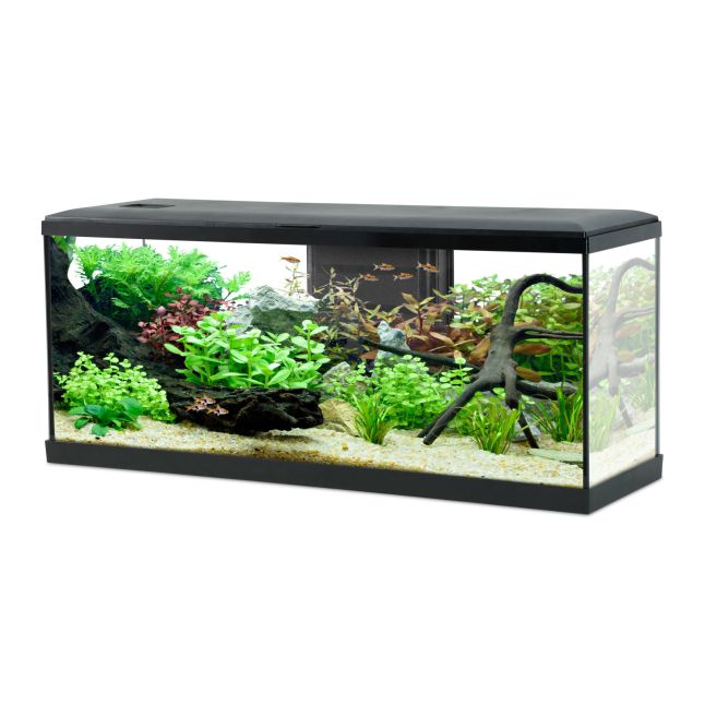 AQUA KIT TANA 100 BLACK