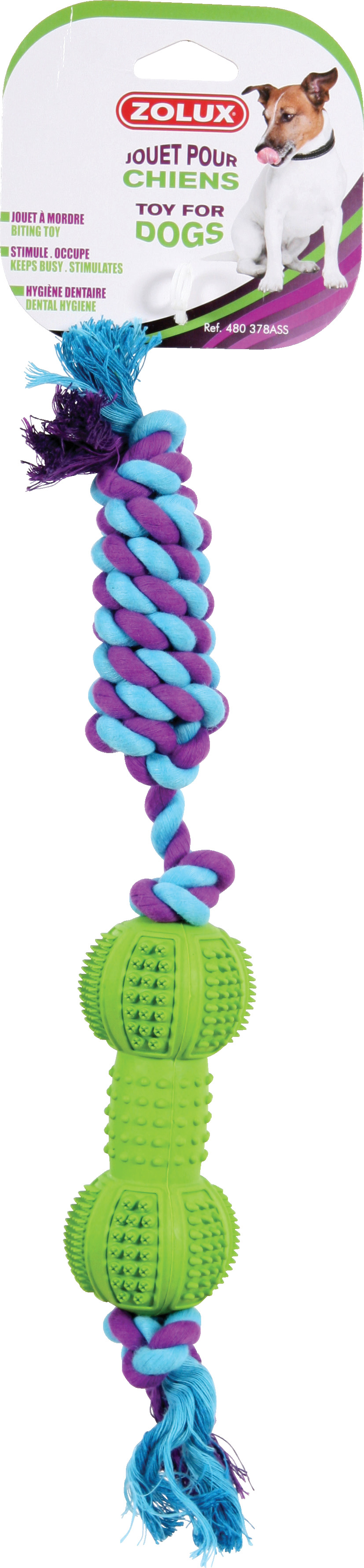 Zolux JOUETS DENTAL C.OS 12 CM ASS