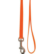 Zolux LAISSE NYLON 1M 20MM ORANGE