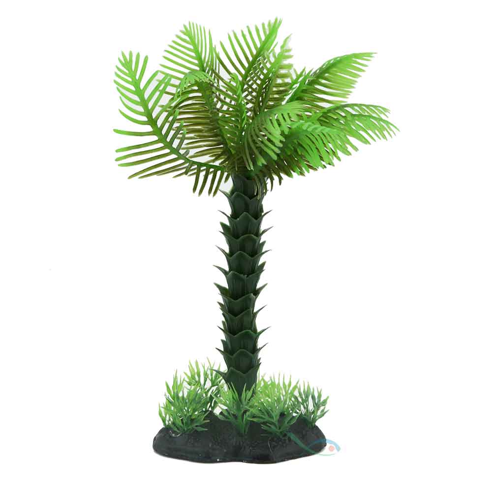SOLO PALM TREE M