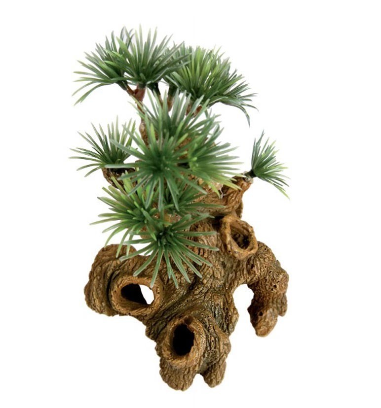 BONSAI  NANO  ORNAMENT