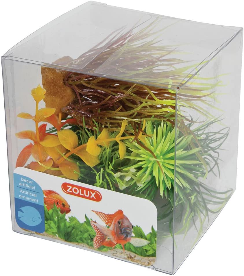 Zolux BOX MIXED PLANTS DECO. X6 MOD3