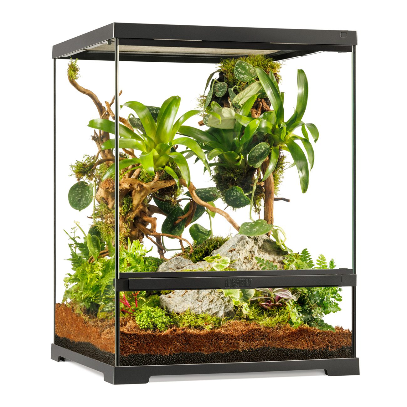 Exo Terra - Pro Terrarium™ - SMALL / TALL