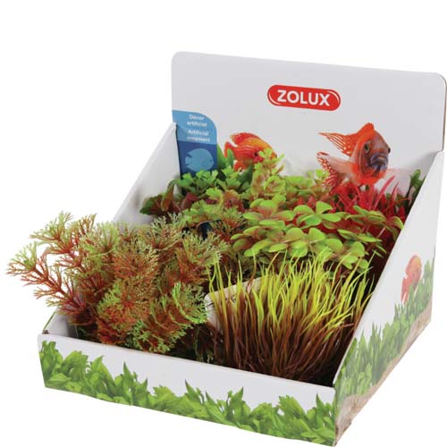 Zolux PLANTS DISPLAY X6 S - ცალი