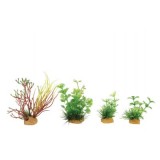 Zolux BOX MIXED PLANTS DECO. X4 MOD2