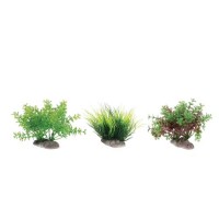 Zolux PLANTS DISPLAY X6 S  ცალი