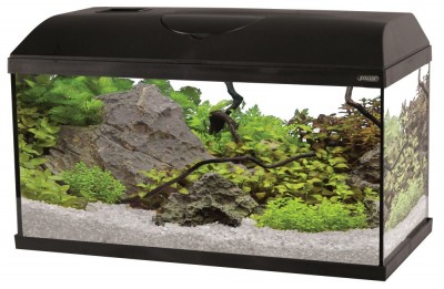 Zolux KIT AQUA FIRST 60 BLACK