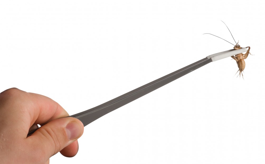 Hagen   Exo Terra Stainless Steel Twizzer