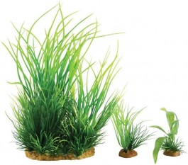 PLANTKIT WIHA N°1