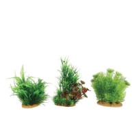 Zolux PLANTS DISPLAY X6 M - ცალი