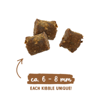 Bosch Sanabelle Juicy Duck