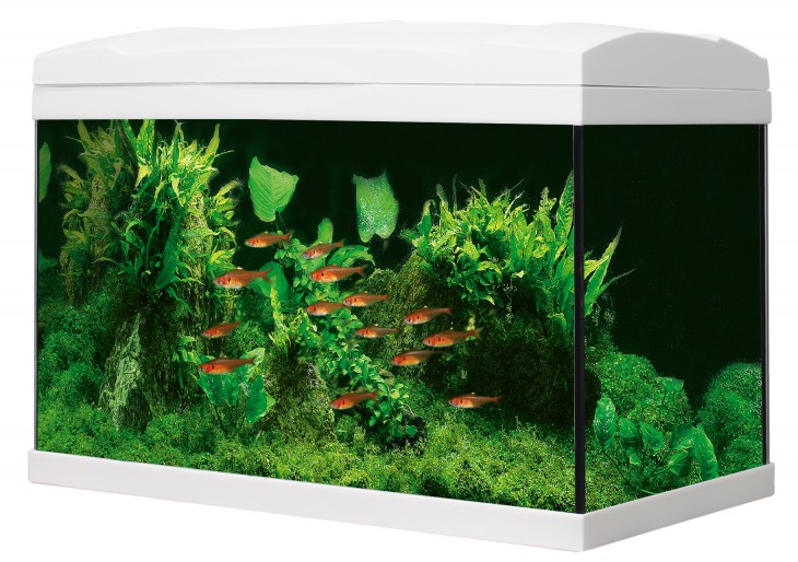 Hagen MA Basic LED 54 L white 6 W