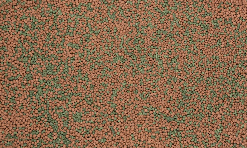 DAJANA Basic Tropi gran 250ml