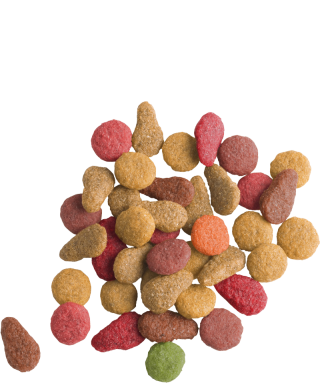 Versel-Laga Lara Adult with Salmon 10 kg