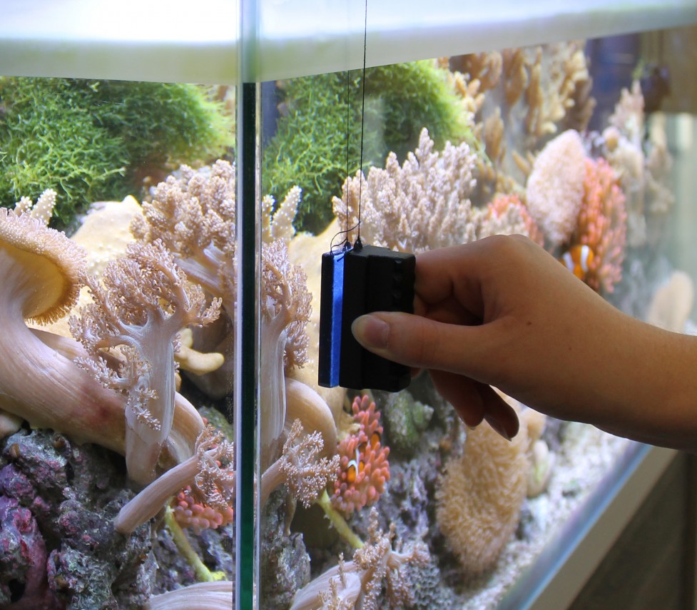 Hagen   Marina Algae Magnet, Small-V საწმენდი მაგნიტი