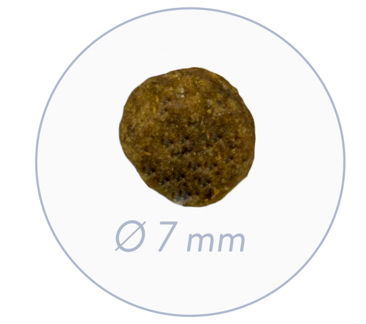 Sanabelle Adult Ostrich 10 kg