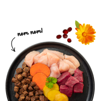 Bosch Sanabelle Juicy Duck