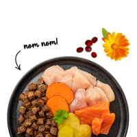 Bosch Sanabelle Juicy Salmon