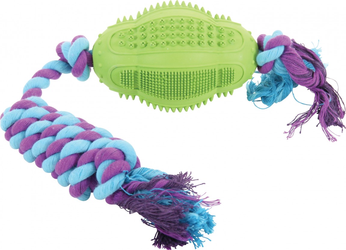 Zolux JOUETS DENTAL C.POIRE 11CM ASS