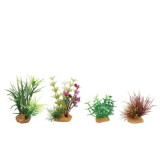Zolux BOX MIXED PLANTS DECO. X4 MOD4