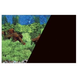 Zolux POSTER ROOT/BLACK H40 L60