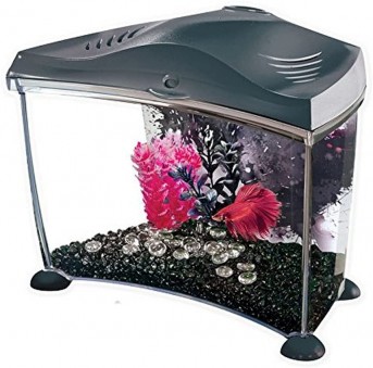 Hagen MA BETTA KIT 6,7L GRAPHITE