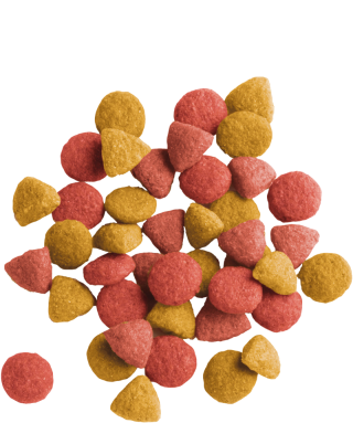 Versel-Laga Lara Adult Sterilized with Chicken 10 kg