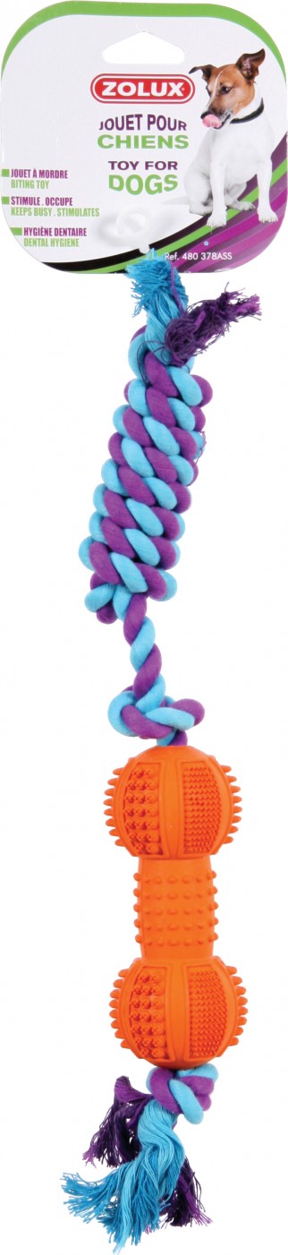 Zolux JOUETS DENTAL C.OS 12 CM ASS