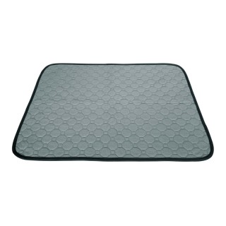 WASHABLE HYGIENIC MAT 50X65 M