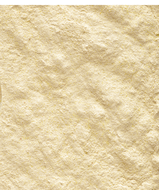 Versele-Laga NutriBird Handmix 500 g