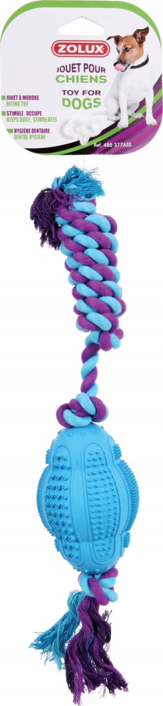 Zolux JOUETS DENTAL C.POIRE 11CM ASS