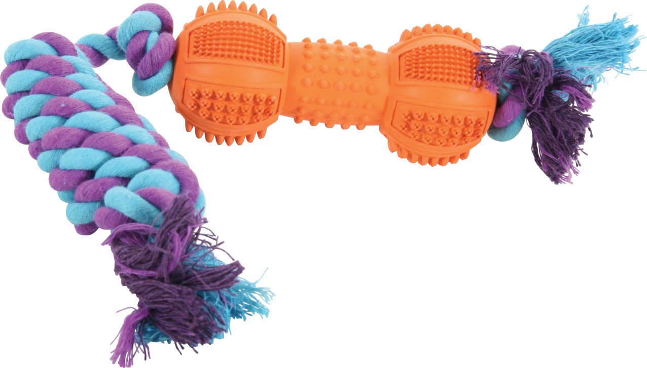 Zolux JOUETS DENTAL C.OS 12 CM ASS