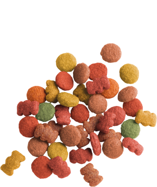 Versel-Laga Lara Adult Beef Flavour 10 kg