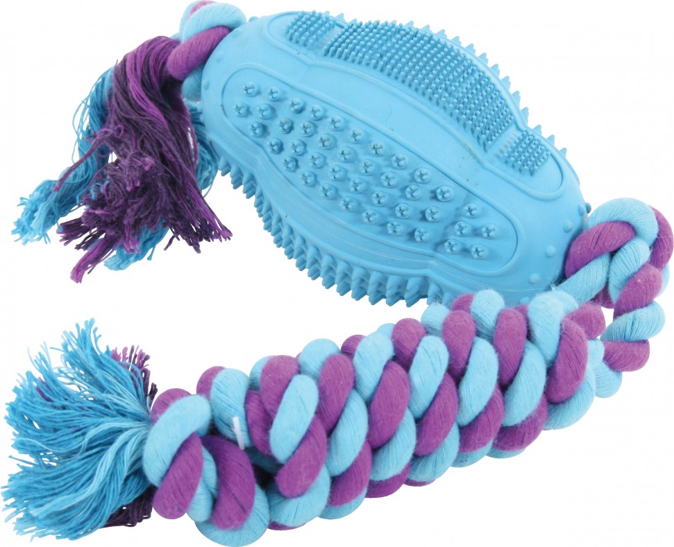 Zolux JOUETS DENTAL C.POIRE 11CM ASS