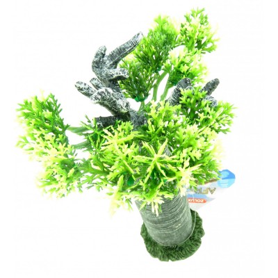 Zolux AFRICA BAOBAB M