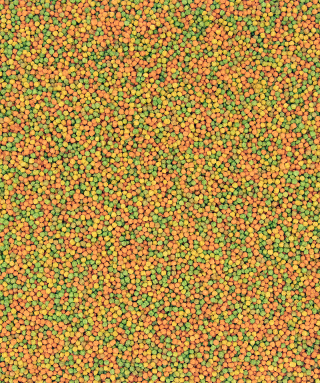 Versele-Laga NutriBird B18 3 kg