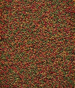 Versele-Laga NutriBird C19 3 kg