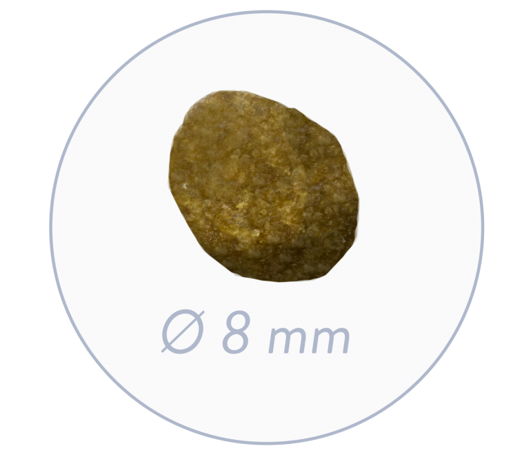 Sanabelle Adult Forelle  kg