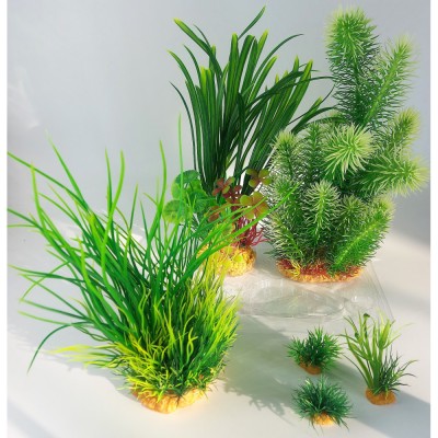 PLANTKIT IDRO N°3