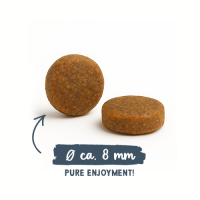 Bosch Sanabelle Adult Trout