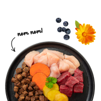 Bosch Sanabelle Juicy Beef