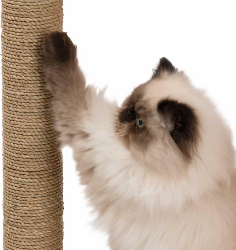 Catit Vesper V-box small walnut