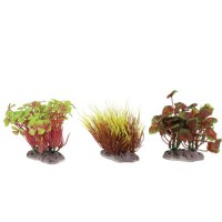 Zolux PLANTS DISPLAY X6 S - ცალი